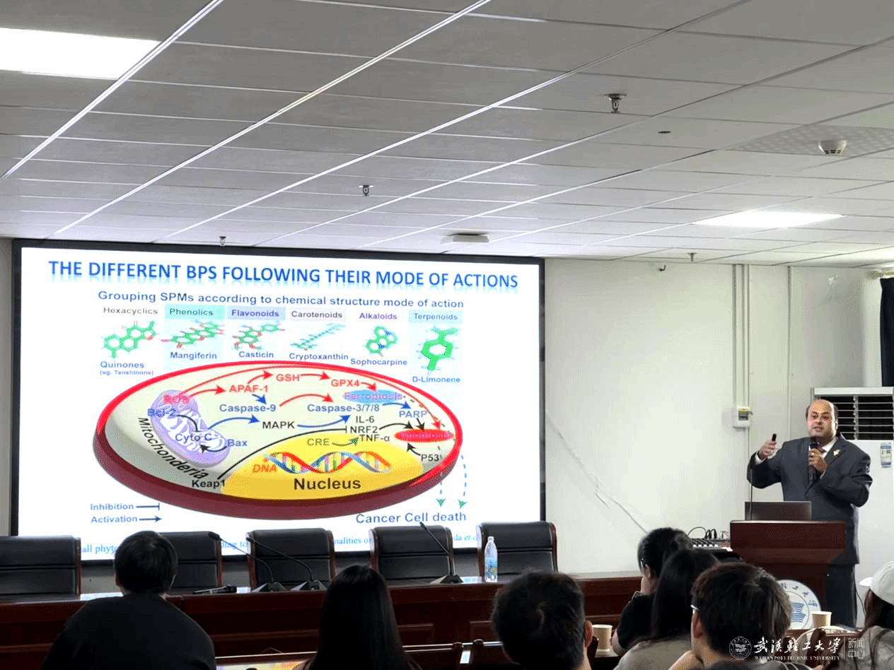 埃及国家研究中心Mostafa Gouda副教授来校讲座