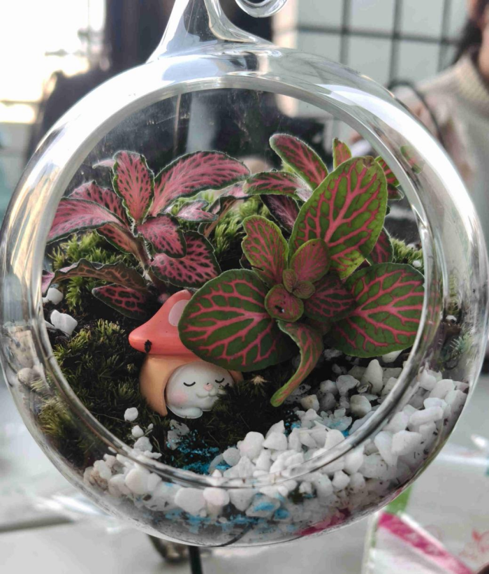 微景观DIY作品。学校供图